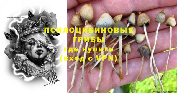 прущие крисы Лагань