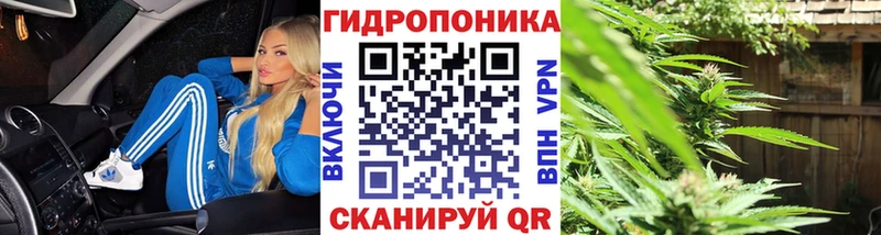 Конопля AK-47  наркотики  Отрадная 